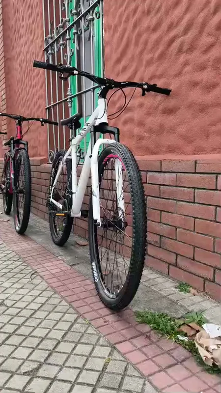 Bicicleta Nordic X1 By Slp R29 21v Shimano Disco Suspension - Stock disponible - Deportes y Entretenimiento