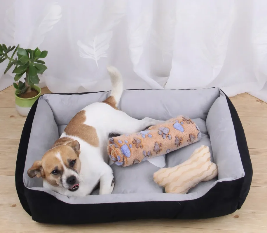 Moisés Cama Nido para Perro y Gato Chico 50x36 cm – Lavable, 4 Colores - Mascotas